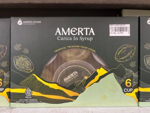 CARICA AMERTA ISI 6