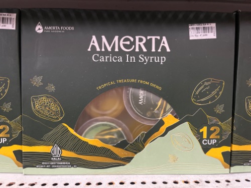 CARICA AMERTA ISI 12