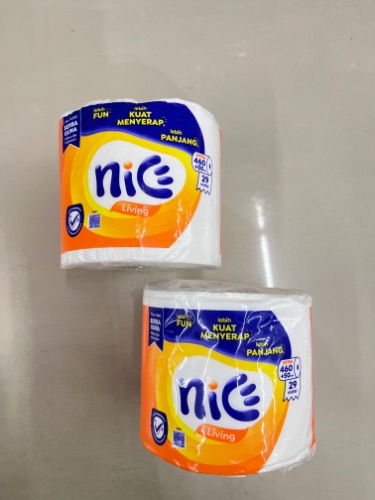 NICE TOILET 250s | 29meter
