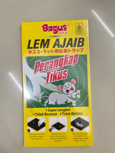 BAGUS LEM TIKUS